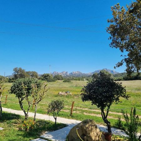 Lu Antu Alloggi Agrituristici Арцахена Екстериор снимка
