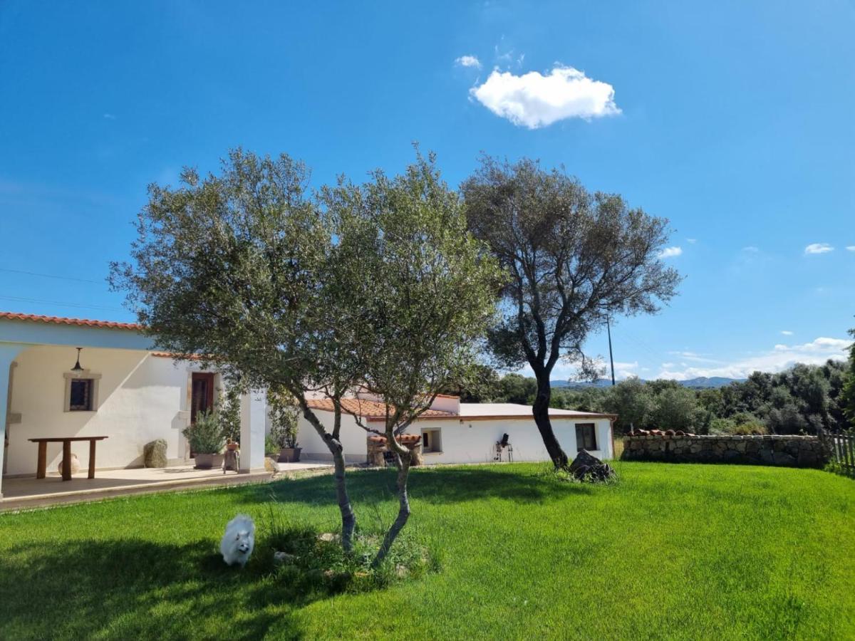 Lu Antu Alloggi Agrituristici Арцахена Екстериор снимка